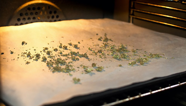 Сушка шишек марихуаны в духовке Сушка каннабиса в духовке