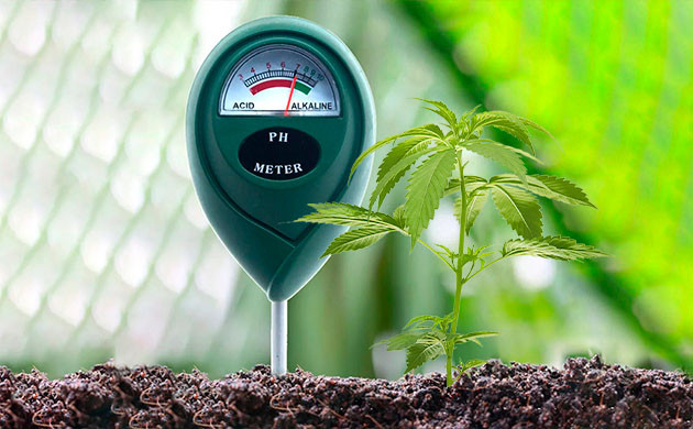 Некорректный уровень pH или ЕС Плохой уровень кислотности или ЕС