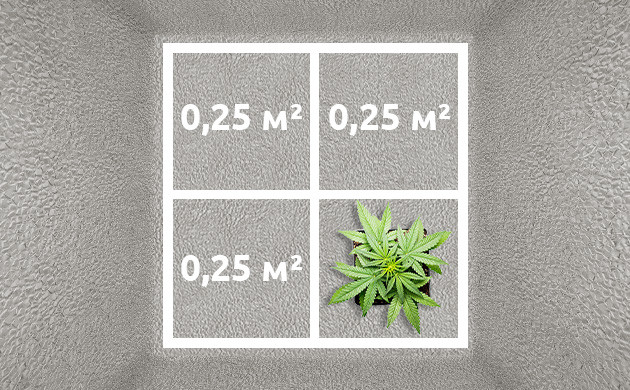 Размещение автоцветов в гроубоксе