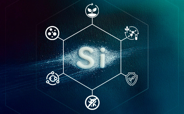 Преимущества кремния при выращивании марихуаны