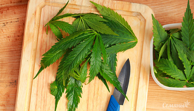 Использование остатков конопли