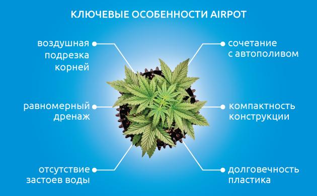 Особенности пластиковых горшков Пластиковые горшки AirPot