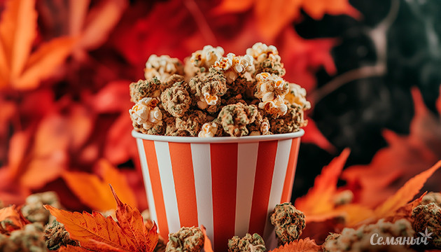 Киновечер для осенней атмосферы