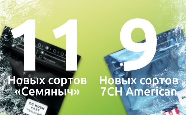 Пополнение коллекций «Семяныча»