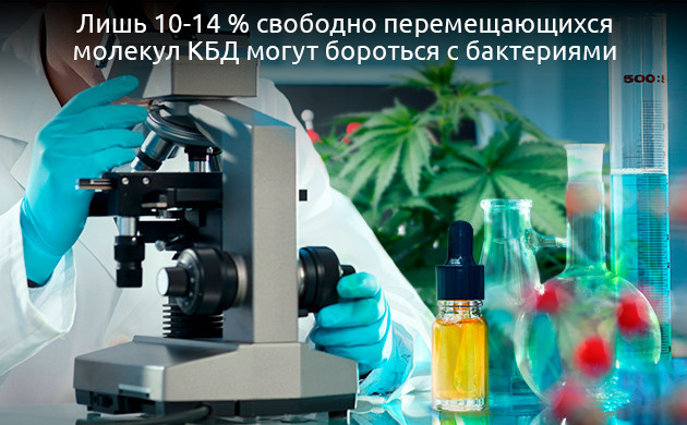 Ограничения использования КБД в медицине Перспективы использования КБД в борьбе с бактериями