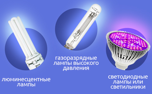 Использование ЭСЛ ламп для выращивания конопли Преимущества и недостатки ЭСЛ ламп для конопли