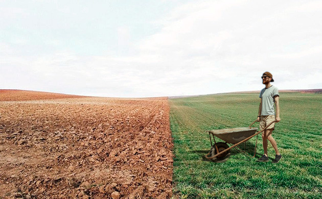 Удобрение почвы навозом