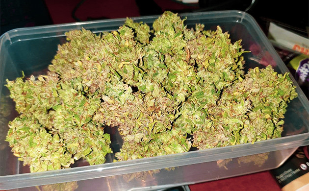 Готовые шишки