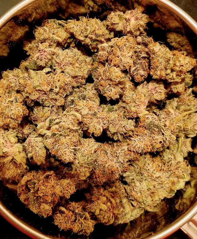 Собранные шишки марихуаны