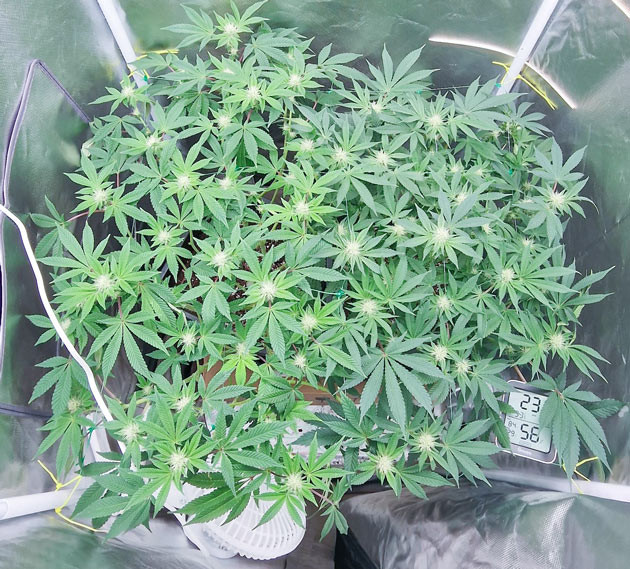 Исправление светового проникновения