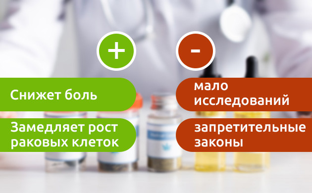 Марихуана при борьбе с раком Плюсы и минусы применения каннабиса при раке