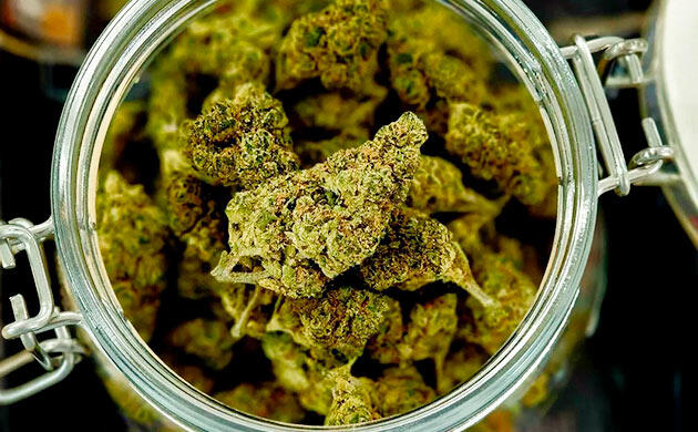 Как правильно пролечивать и хранить каннабис Процесс пролечки каннабиса