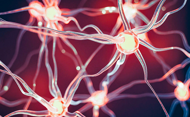 Здоровье нейронов и каннабис