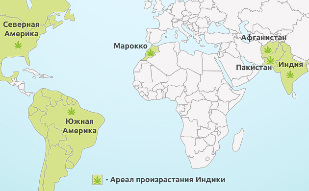 Ареал произрастания Индики