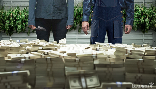 Заработок на конопляной индустрии