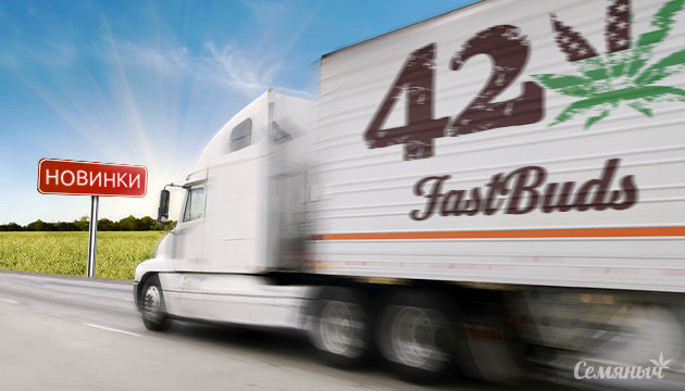Пополнение новинками FastBuds Пополнение новинками FastBuds