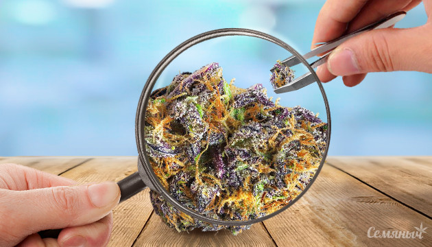 Расчет шишек при использовании