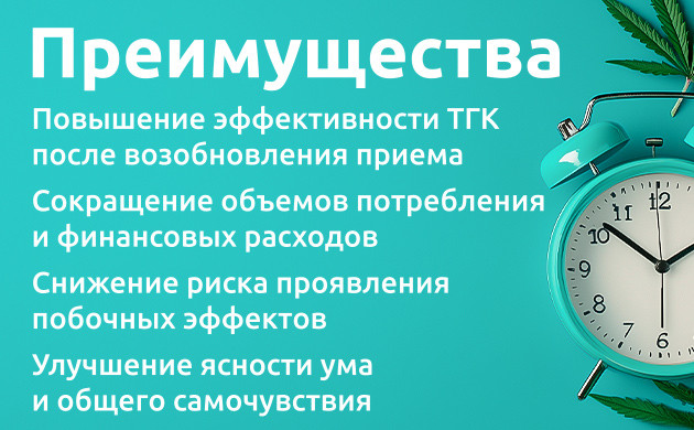 Как толер-брейк улучшает эффективность ТГК и самочувствие