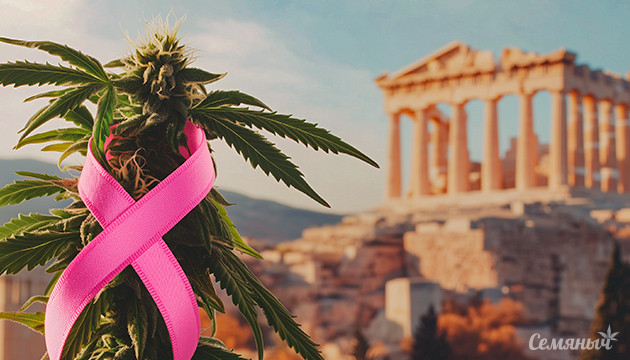 Каннабис эффективен в лечении рака