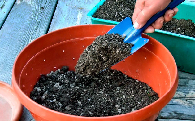 Предложения по перепрофилированию различных сред