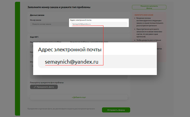 Адрес электронной почты