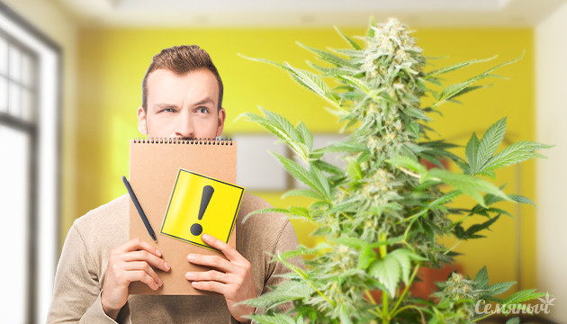 Советы для новичков Выводы для новичков