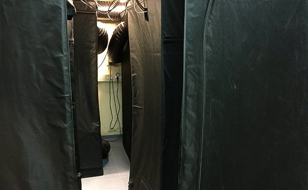 Зоны выращивания конопли 8 боксов размещены в одном помещении