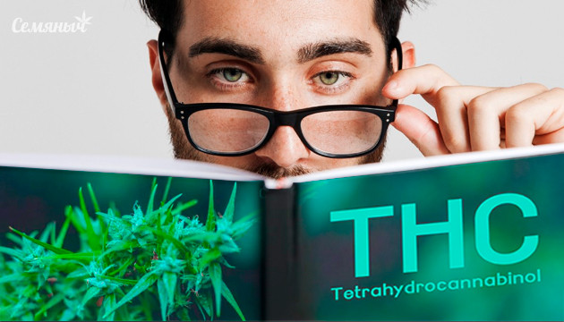 Что такое тетрагидроканнабинол