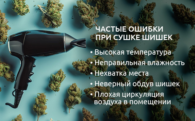 Уникальный запах марихуаны: роль пролечки