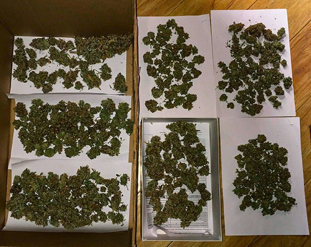 Сбор урожая и оценка конечного урожая Сбор урожая и окончательные результаты