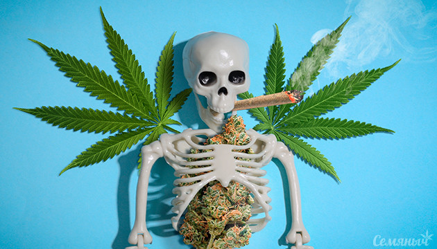 Вред конопли