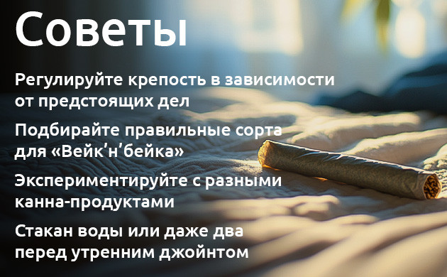 Выбор сорта для утреннего Вейк’н’бейка