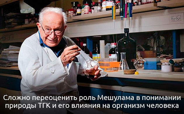 Рафаэль Мешулам и открытие ТГК в каннабисе