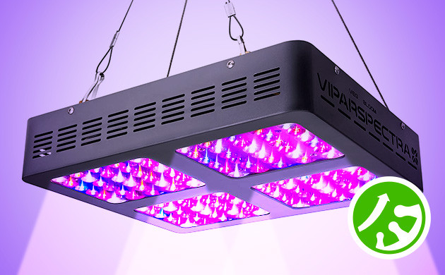 Использование ультрафиолетовых ламп: увеличение количества трихом в каннабисе Увеличение количества трихом в каннабисе с помощью ультрафиолетовых ламп