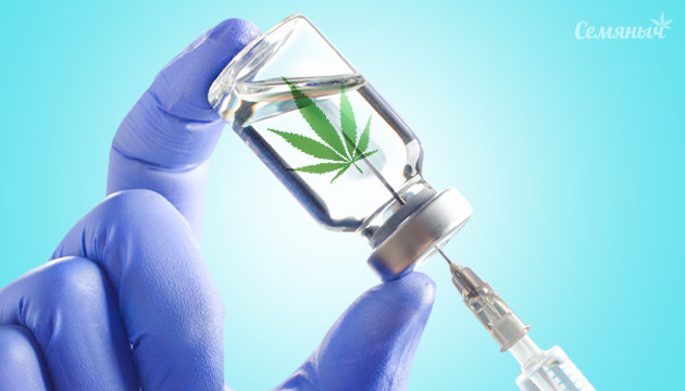 Выбери свою вакцину Конопляная вакцинация