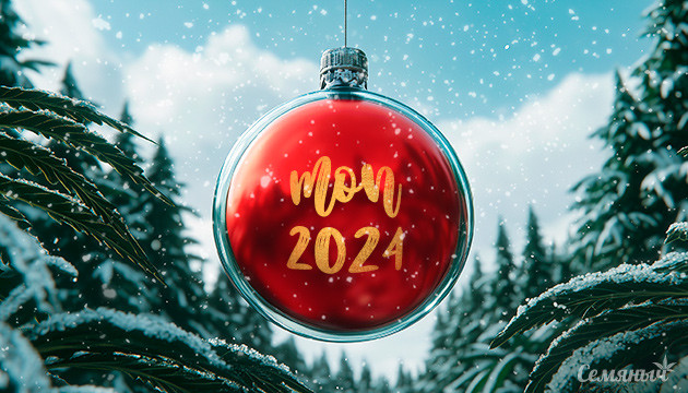 10 сортов за 2024 год