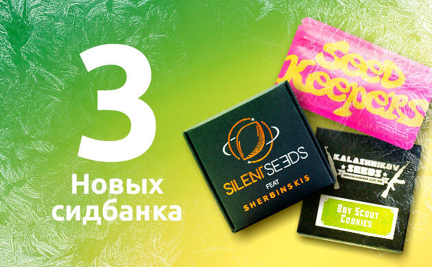 Новые сидбанки на Семяныче