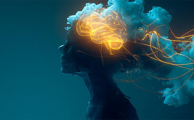 Адаптогены регулируют ГГН-ось и помогают справляться со стрессом