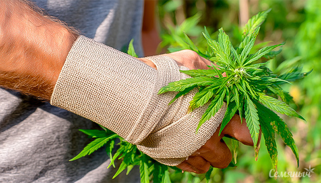 КБД при облегчении боли Лечение болей с помощью КБД