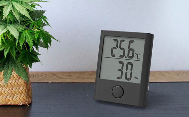 Влажность и жара: увеличение количества трихом в каннабисе Влажность и жара: увеличение количества трихом в каннабисе