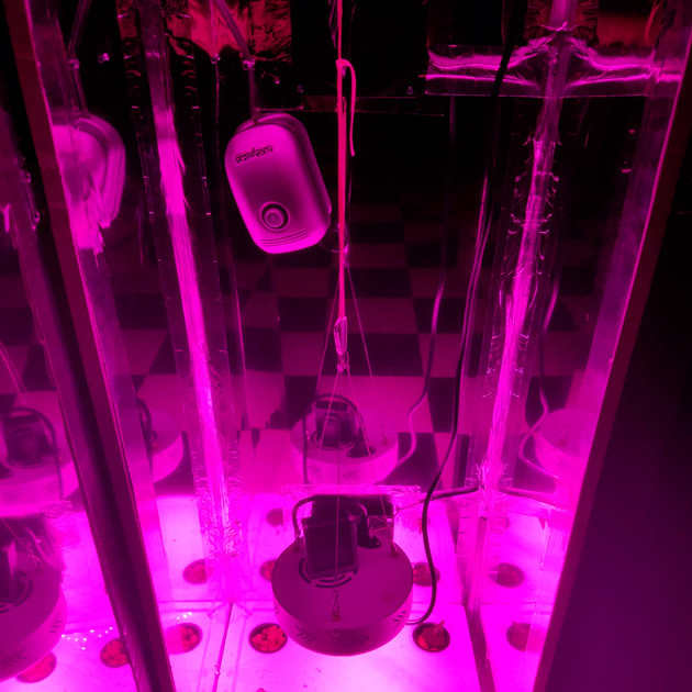 Гидропонная установка