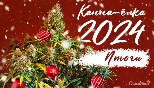 Канна-ёлка 2024 завершена Конкурс на форуме Канна-ёлка 2024 завершен