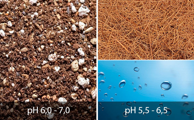 Устранение недостатка калия у каннабиса Устранение дефицита калия у конопли