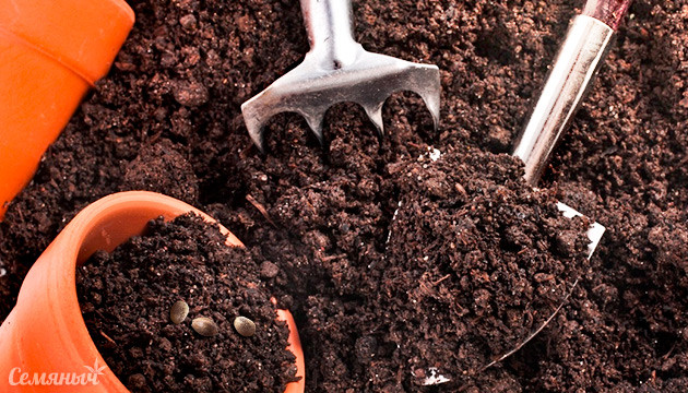 Повторное использование субстрата для выращивания каннабиса