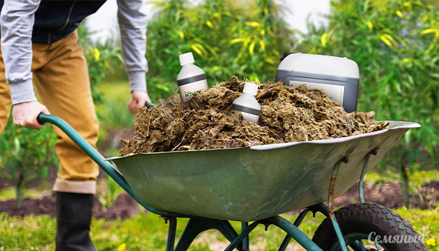 Обзор органических удобрений для конопли