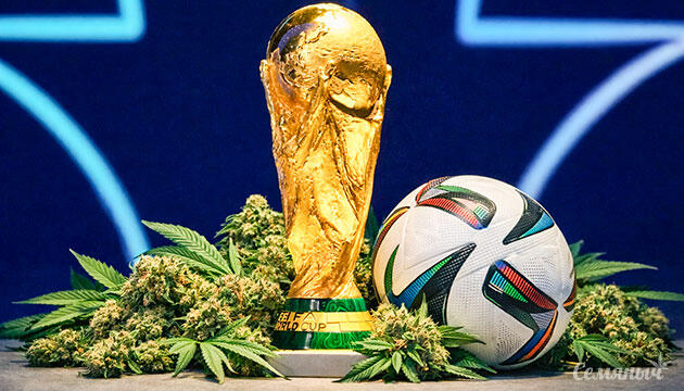 Фильм Kicking Back о влиянии каннабиса и спорта в городах ЧМ-2026