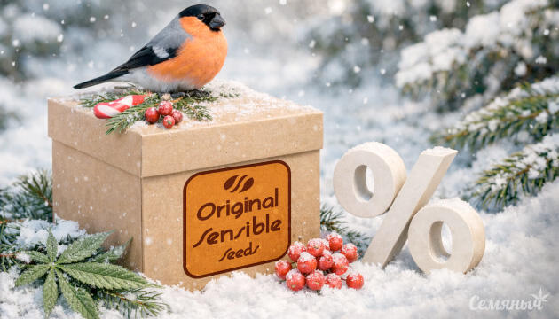 Скидка 30% на сидбанк Original Sensible Seeds Скидка 30% на все семена сидбанка Original Sensible Seeds