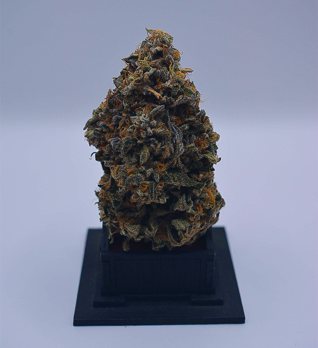 High Society: качество урожая и аромат