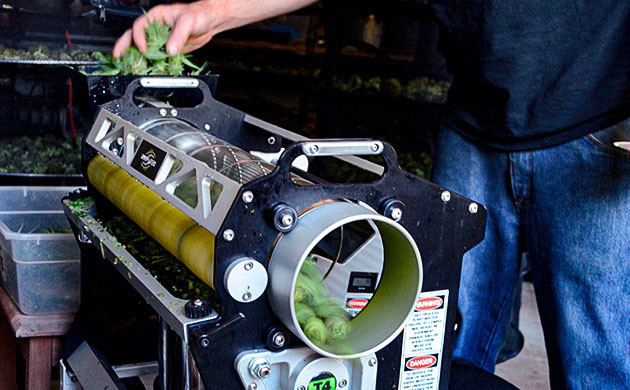 Что нужно для машинного тримминга