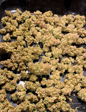 110 грамм шишек